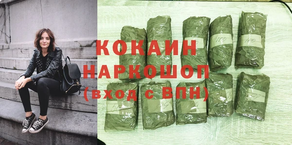 ПСИЛОЦИБИНОВЫЕ ГРИБЫ Михайлов