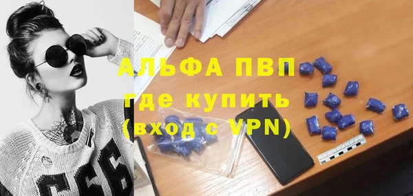 ПСИЛОЦИБИНОВЫЕ ГРИБЫ Михайлов