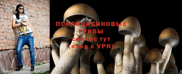 прущий лед Михайловка