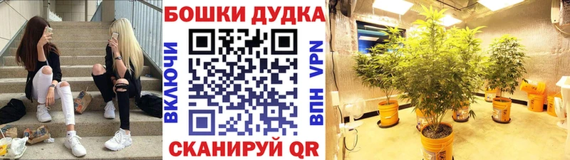как найти закладки  MEGA как войти  Шишки марихуана конопля  Химки 